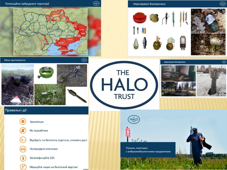 preview image for The HALO Trust